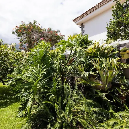 Prime San Nicolás * Puerto de la Cruz (Tenerife)